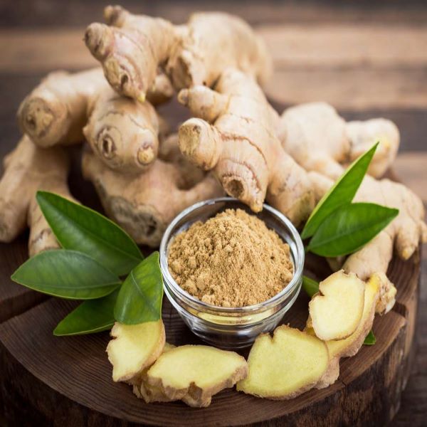 Ginger 1x12.5kg03